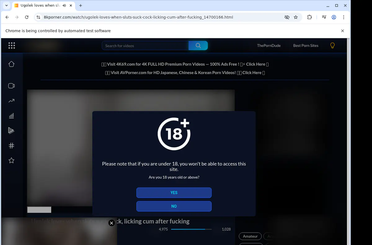 8kporner Video Downloader screenshot 2