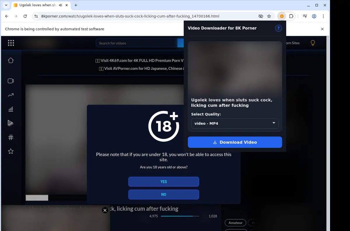 8kporner Video Downloader screenshot 3