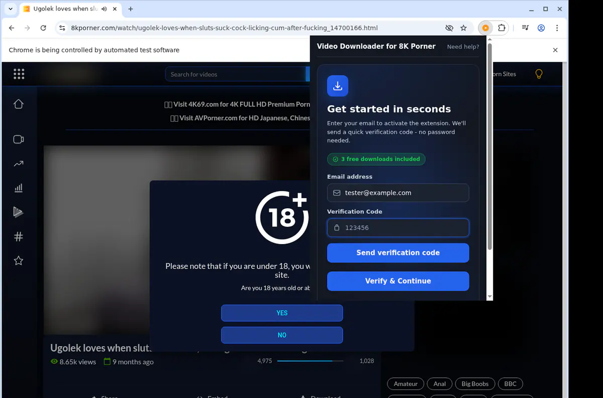 8kporner Video Downloader screenshot 4