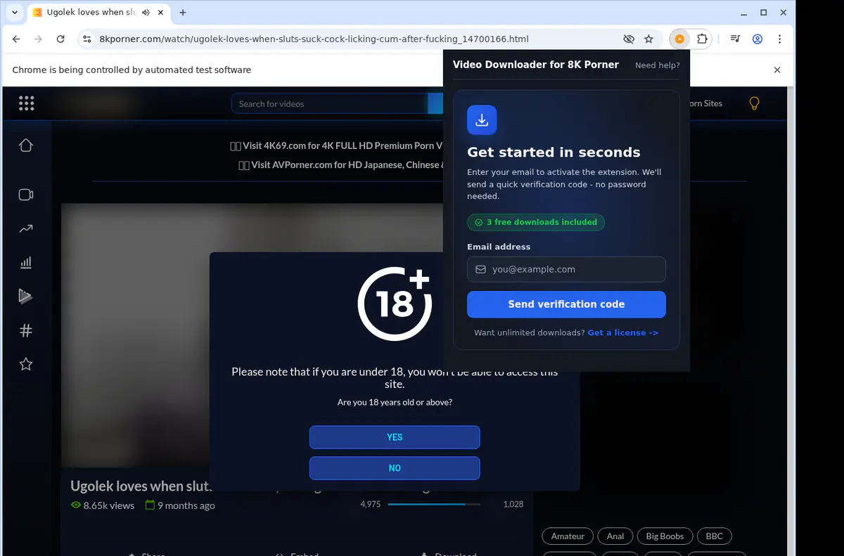 8kporner Video Downloader screenshot 5